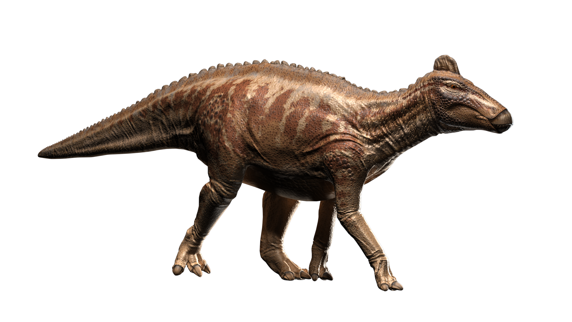 edmontosaurus_