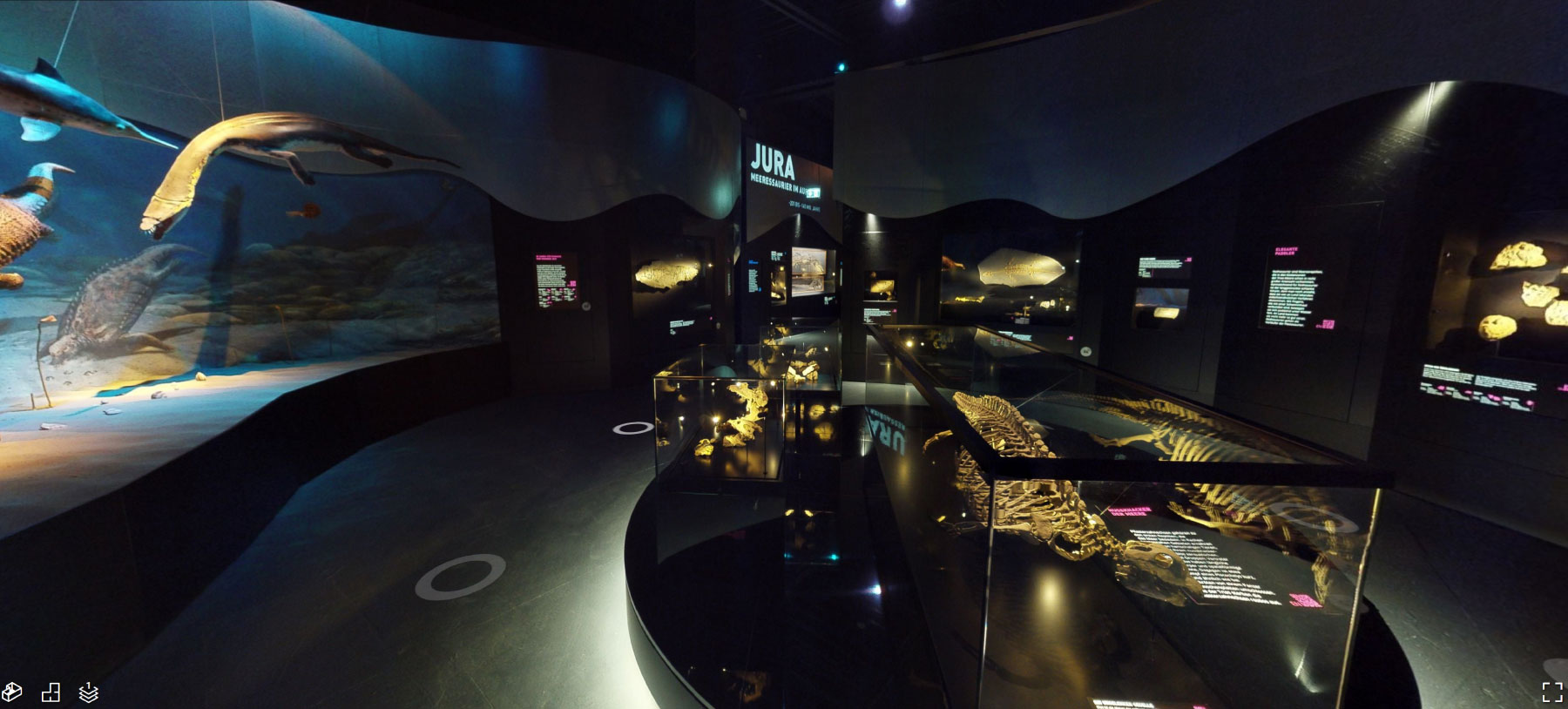 Museum-Giganten-der-meere