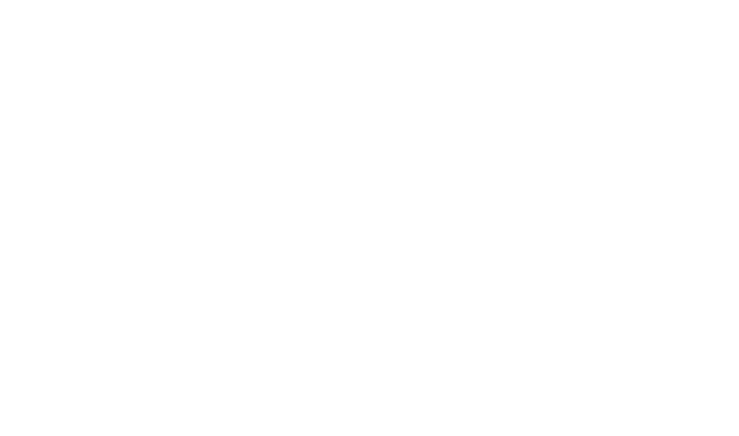 MotionBrain-Logo-weiss schrift dicker